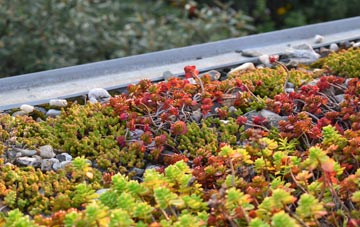 the cost of Upper Wardley green roof installation